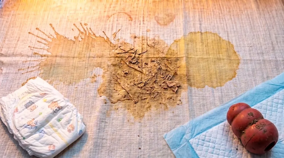 Urine and feces stains on linen with a diaper and a puppy training pad