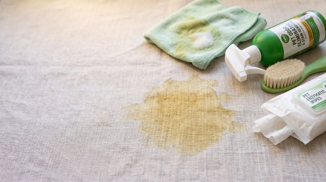 Yellow urine stain on linen with a spray bottle, brush and cloth